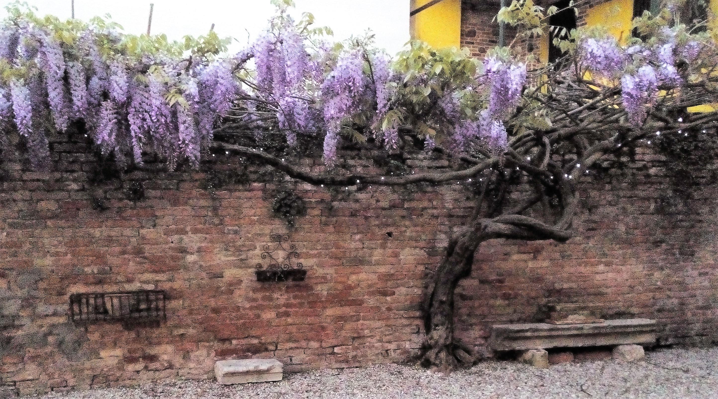ホテル Relais Alcova Del Doge ミーラ エクステリア 写真
